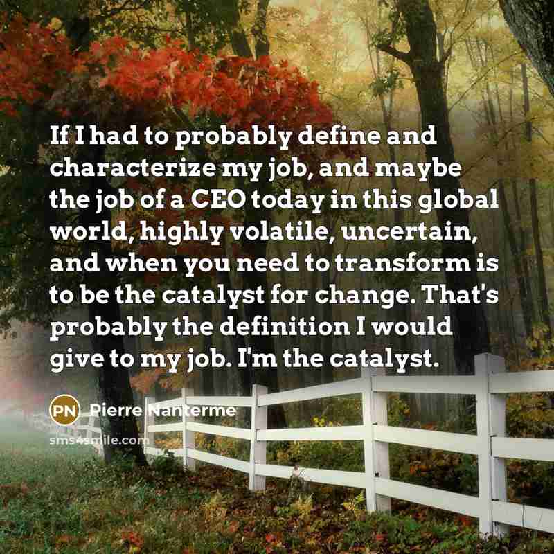 “If I had to probably define and characterize my job, and maybe the job of a CEO today in this global world, highly volatile, uncertain, and when you need to transform is to be the catalyst for change. That's probably the definition I would give to my job. I'm the catalyst.” quote by Pierre Nanterme