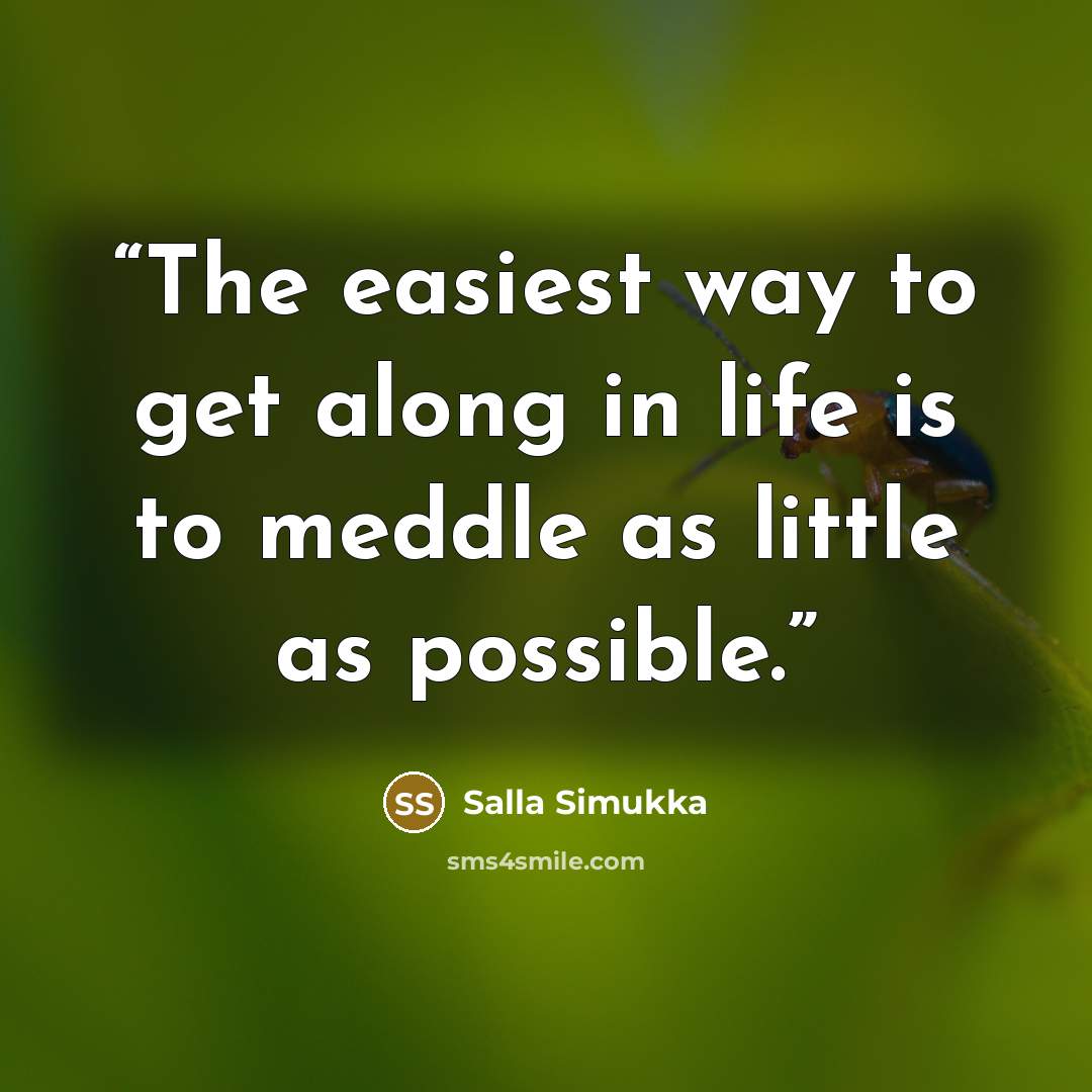“The easiest way to get along in life is to meddle as little as possible.” quote by Salla Simukka