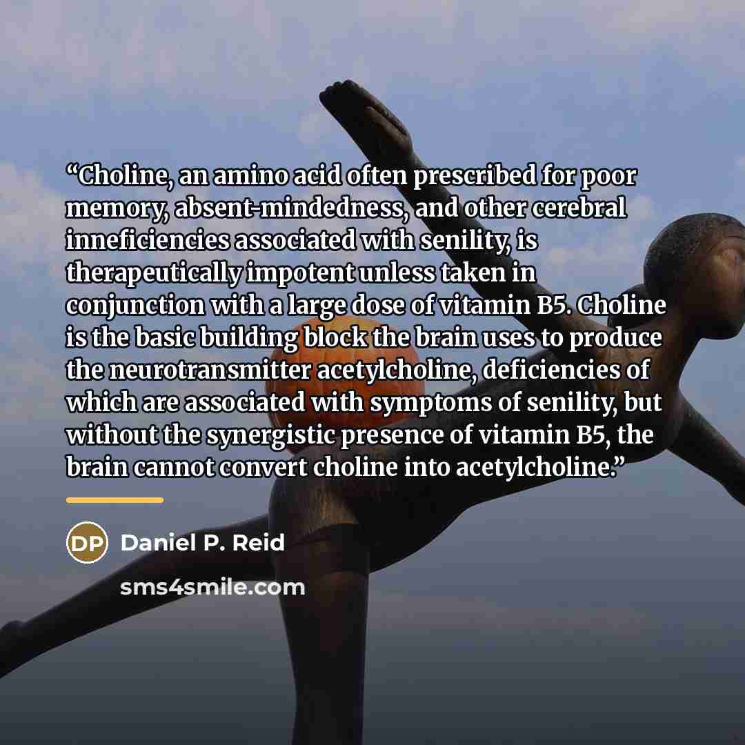 “Choline, an amino acid often prescribed for poor memory, absent-mindedness, and other cerebral inneficiencies associated with senility, is therapeutically impotent unless taken in conjunction with a large dose of vitamin B5. Choline is the basic building block the brain uses to produce the…” quote by Daniel P. Reid