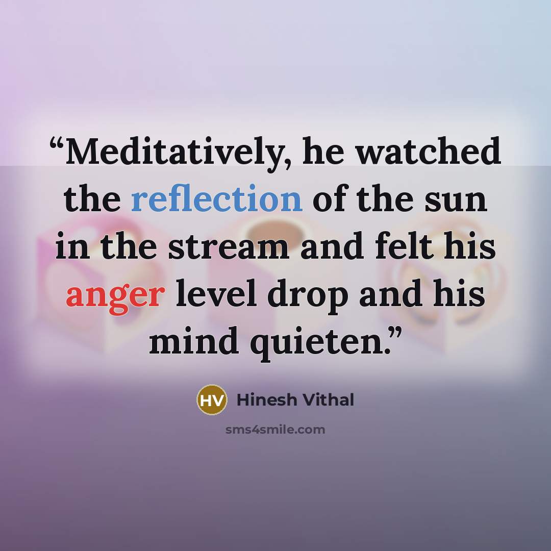 “Meditatively, he watched the reflection of the sun in the stream and felt his anger level drop and his mind quieten.” quote by Hinesh Vithal