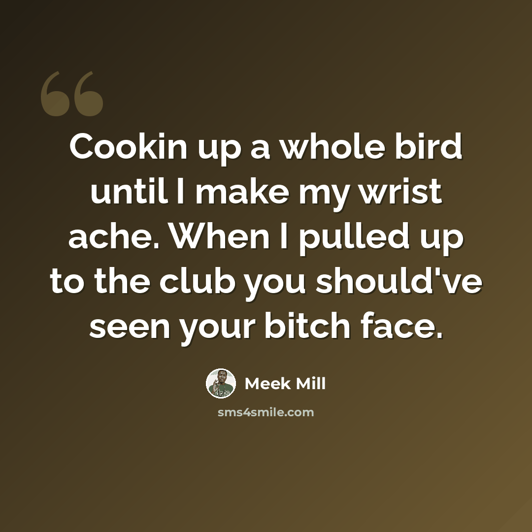 “Cookin up a whole bird until I make my wrist ache. When I pulled up to the club you should've seen your bitch face.” quote by Meek Mill