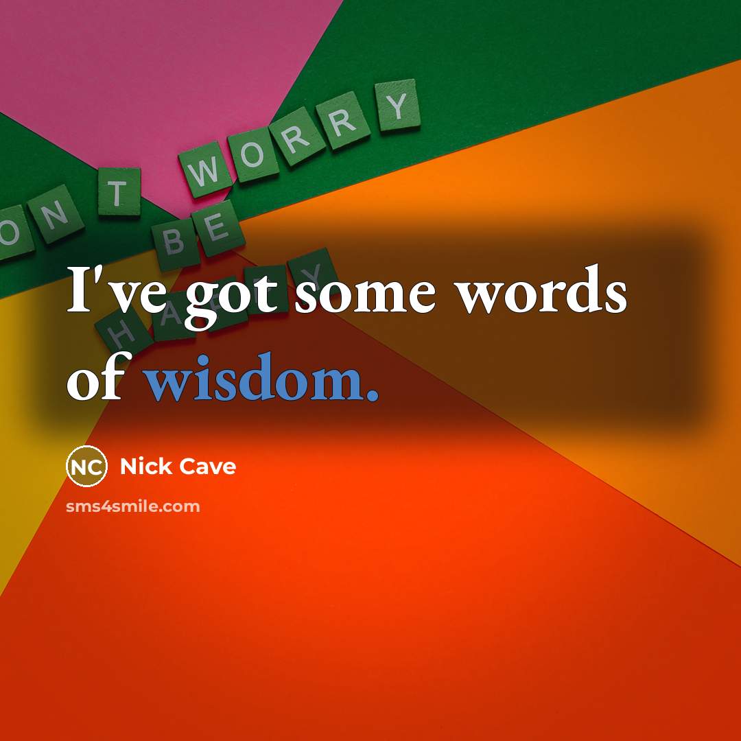 “I've got some words of wisdom.” quote by Nick Cave