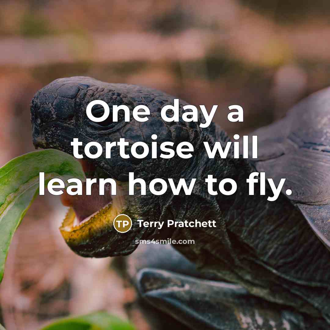 “One day a tortoise will learn how to fly.” quote by Terry Pratchett