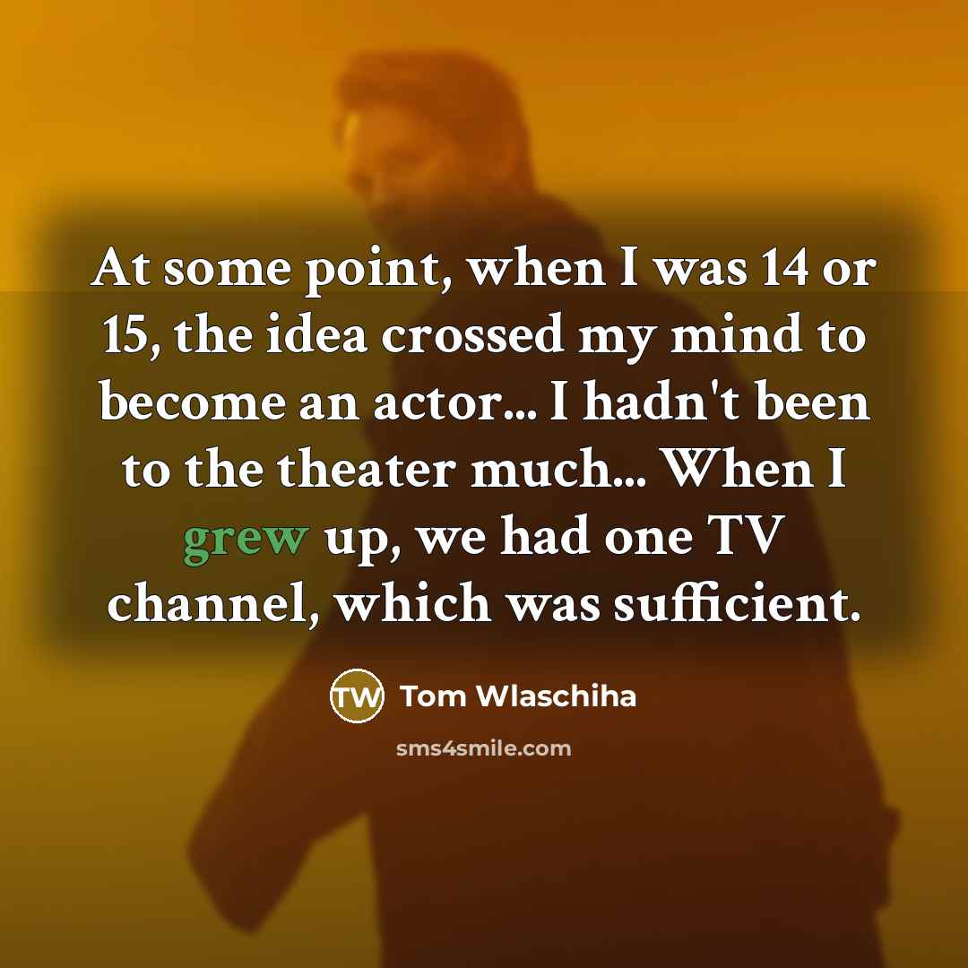 “At some point, when I was 14 or 15, the idea crossed my mind to become an actor... I hadn't been to the theater much... When I grew up, we had one TV channel, which was sufficient.” quote by Tom Wlaschiha