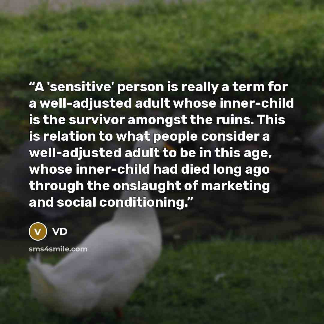 “A 'sensitive' person is really a term for a well-adjusted adult whose inner-child is the survivor amongst the ruins. This is relation to what people consider a well-adjusted adult to be in this age, whose inner-child had died long ago through the onslaught of marketing and social conditioning.” quote by VD