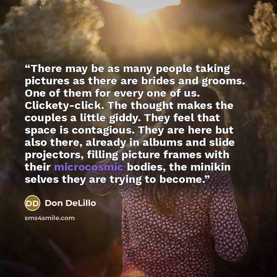 “There may be as many people taking pictures as there are brides and grooms. One of them for every one of us. Clickety-click. The thought makes the couples a little giddy. They feel that space is contagious. They are here but also there, already in albums and slide projectors, filling picture…” quote by Don Delillo