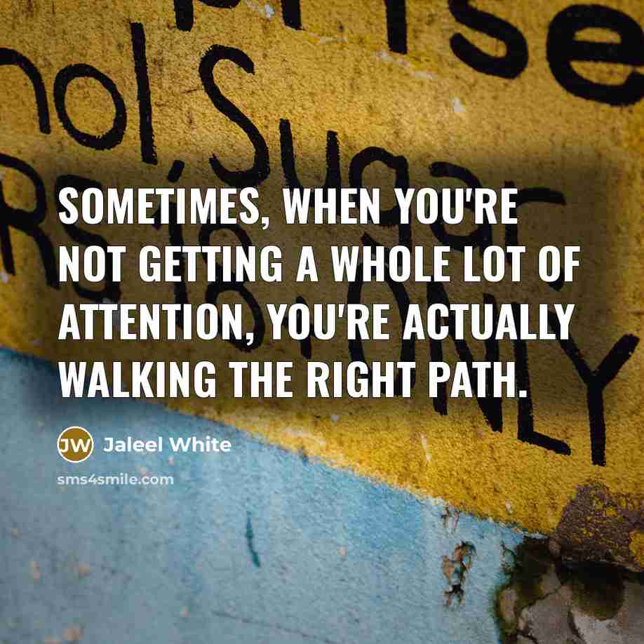 “Sometimes, when you're not getting a whole lot of attention, you're actually walking the right path.” quote by Jaleel White