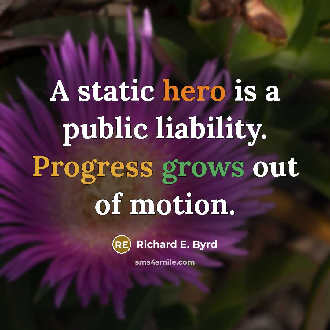 “A static hero is a public liability. Progress grows out of motion.” quote by Richard E. Byrd