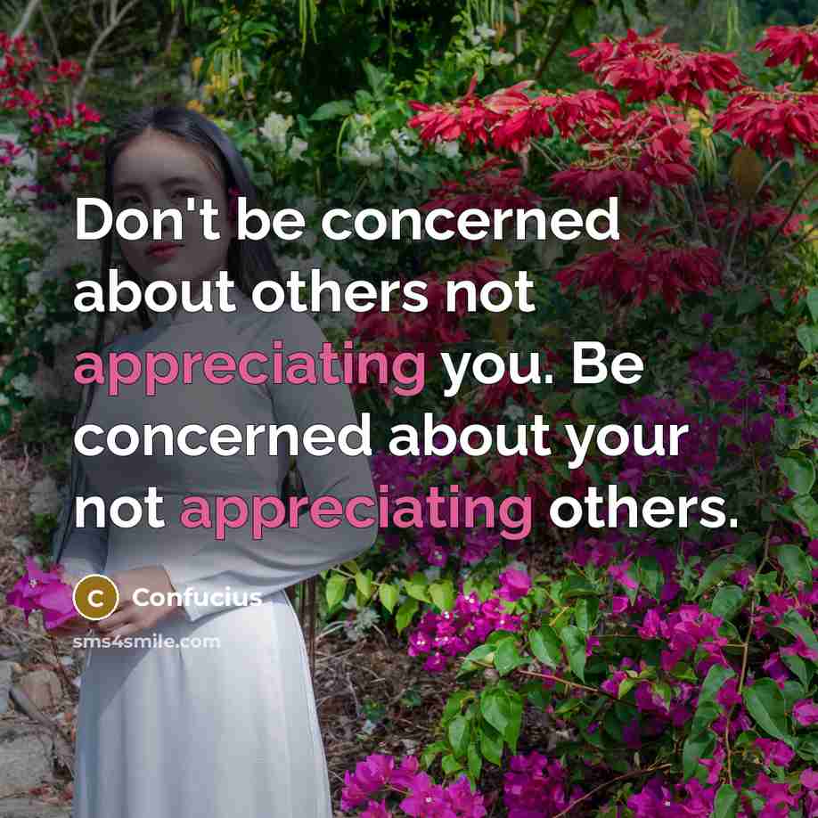 “Don't be concerned about others not appreciating you. Be concerned about your not appreciating others.” quote by Confucius