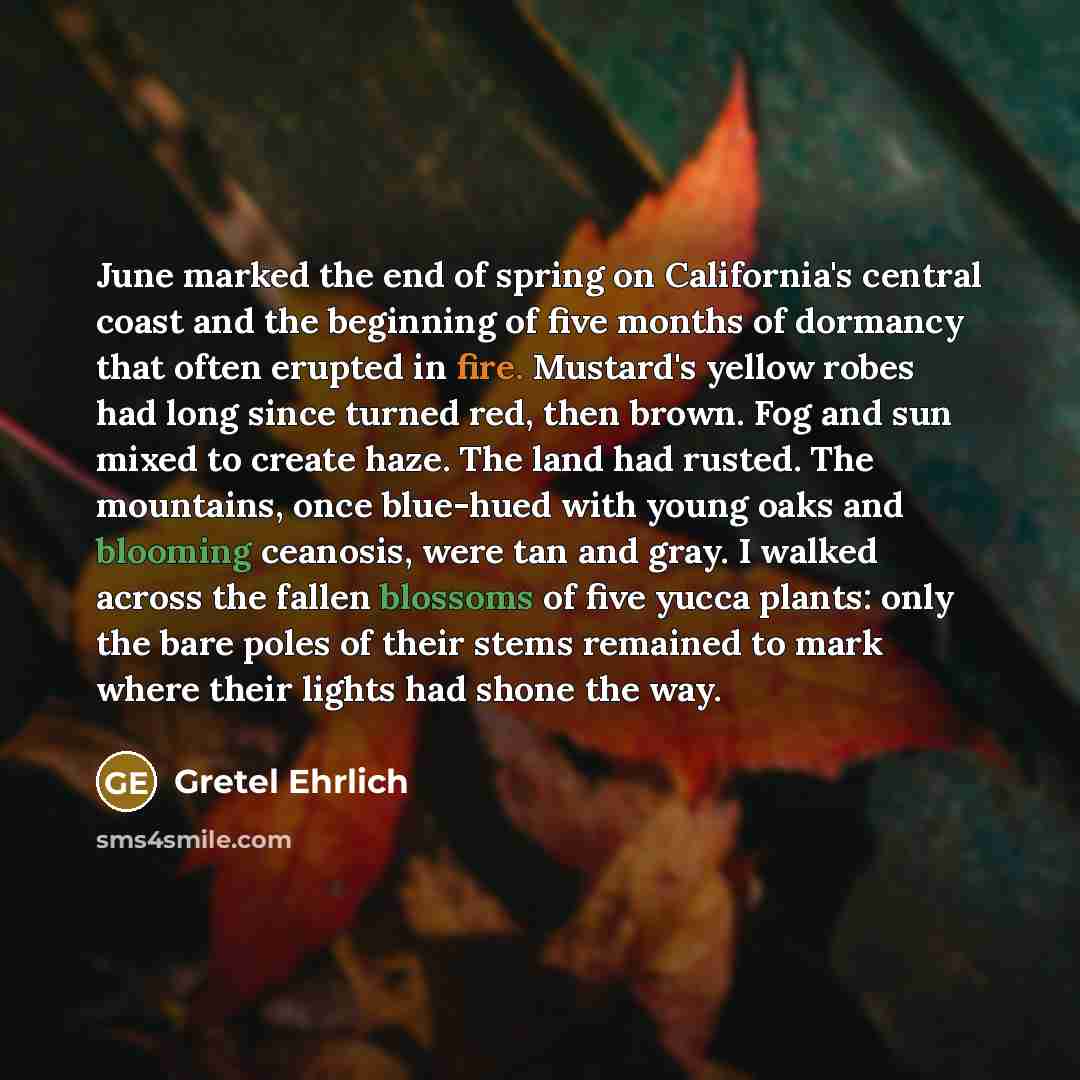 “June marked the end of spring on California's central coast and the beginning of five months of dormancy that often erupted in fire. Mustard's yellow robes had long since turned red, then brown. Fog and sun mixed to create haze. The land had rusted. The mountains, once blue-hued with young oaks…” quote by Gretel Ehrlich