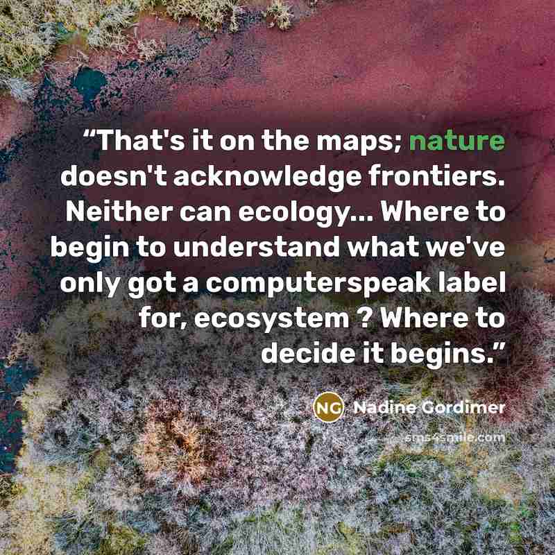 “That's it on the maps; nature doesn't acknowledge frontiers. Neither can ecology... Where to begin to understand what we've only got a computerspeak label for, ecosystem ? Where to decide it begins.” quote by Nadine Gordimer
