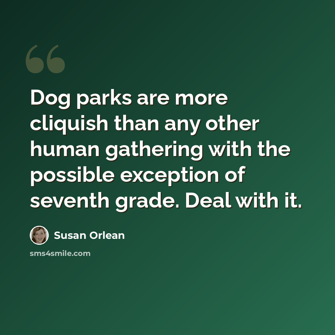 “Dog parks are more cliquish than any other human gathering with the possible exception of seventh grade. Deal with it.” quote by Susan Orlean