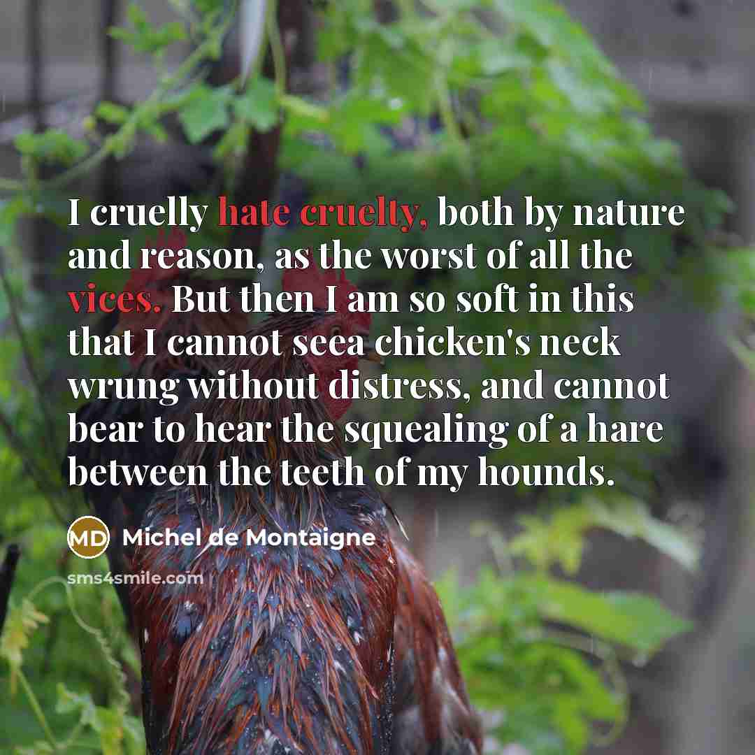 “I cruelly hate cruelty, both by nature and reason, as the worst of all the vices. But then I am so soft in this that I cannot seea chicken's neck wrung without distress, and cannot bear to hear the squealing of a hare between the teeth of my hounds.” quote by Michel de Montaigne