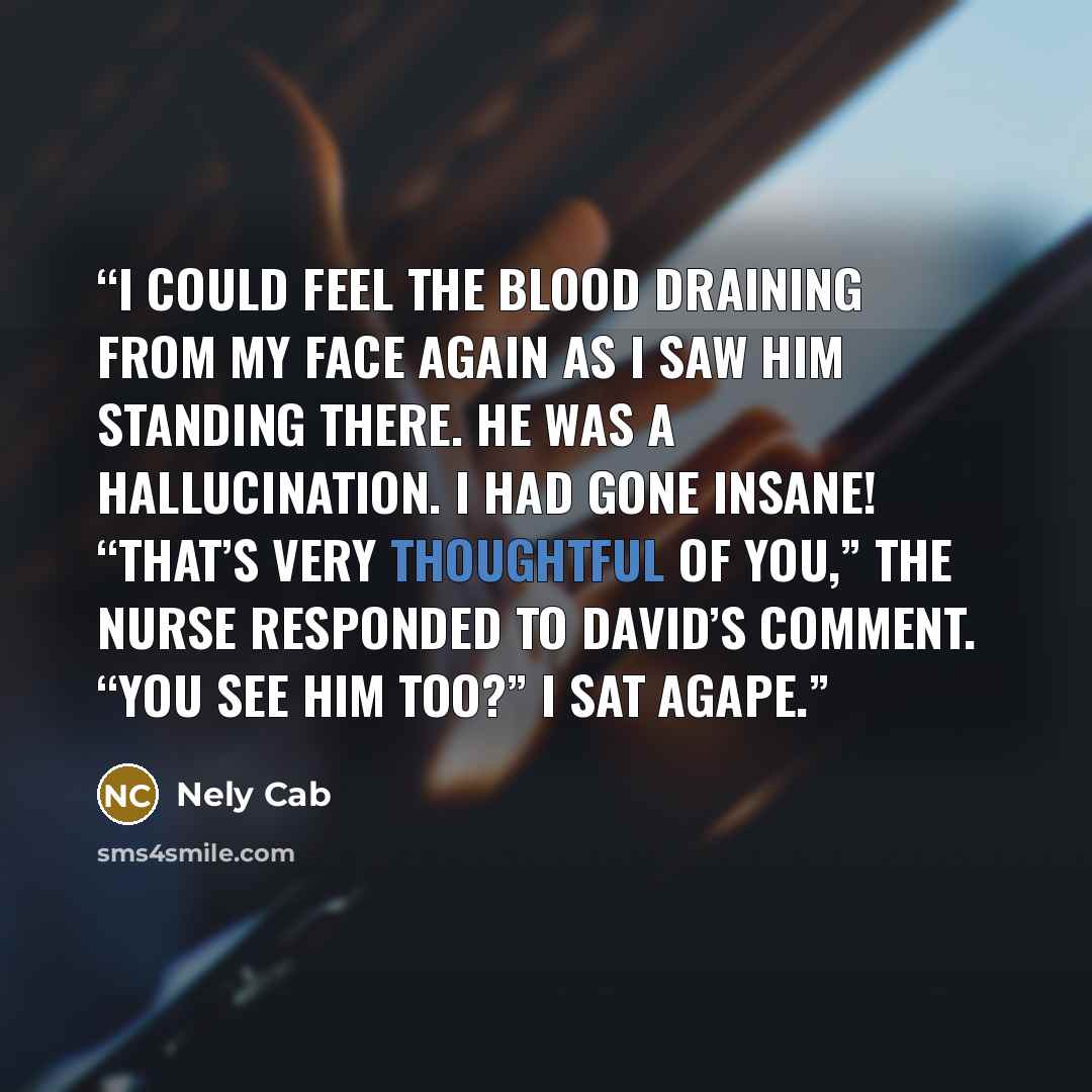 “I could feel the blood draining from my face again as I saw him standing there. He was a hallucination. I had gone insane! “That’s very thoughtful of you,” the nurse responded to David’s comment. “You see him too?” I sat agape.” quote by Nely Cab