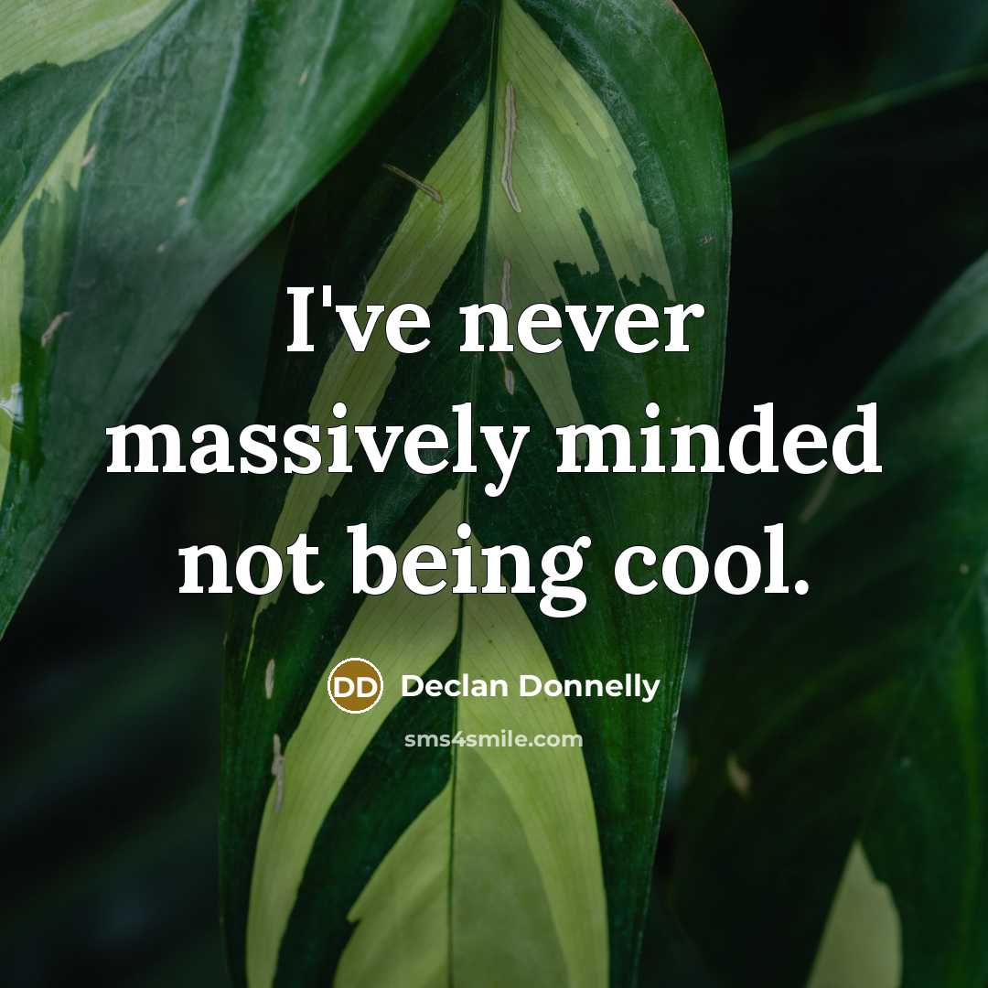 “I've never massively minded not being cool.” quote by Declan Donnelly