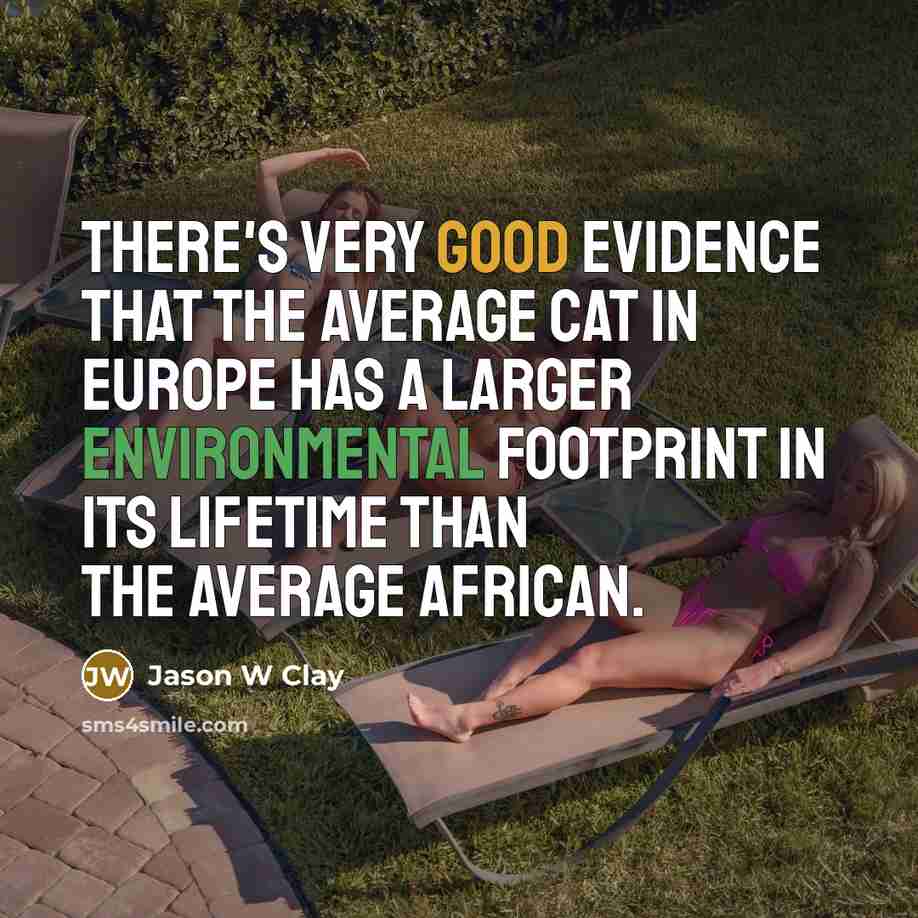 “There's very good evidence that the average cat in Europe has a larger environmental footprint in its lifetime than the average African.” quote by Jason W Clay