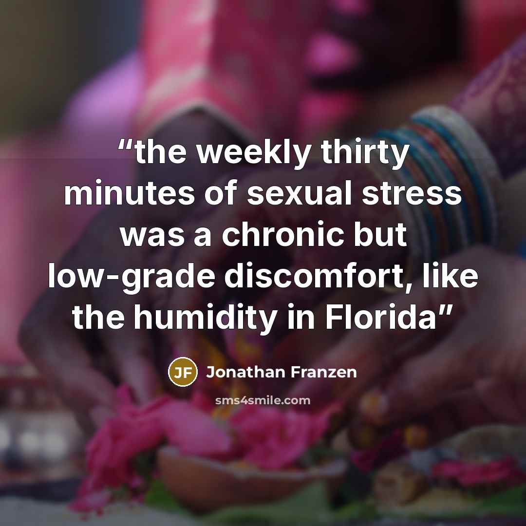 “the weekly thirty minutes of sexual stress was a chronic but low-grade discomfort, like the humidity in Florida” quote by Jonathan Franzen