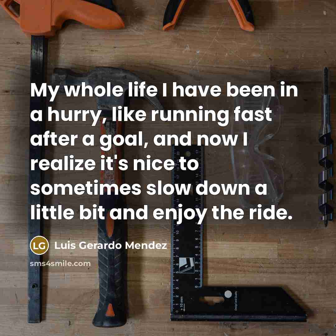 “My whole life I have been in a hurry, like running fast after a goal, and now I realize it's nice to sometimes slow down a little bit and enjoy the ride.” quote by Luis Gerardo Mendez