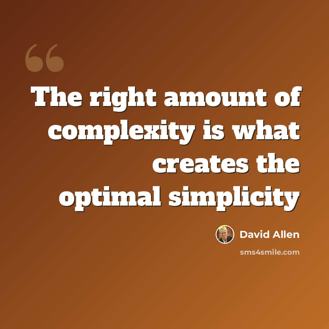 “The right amount of complexity is what creates the optimal simplicity” quote by David Allen