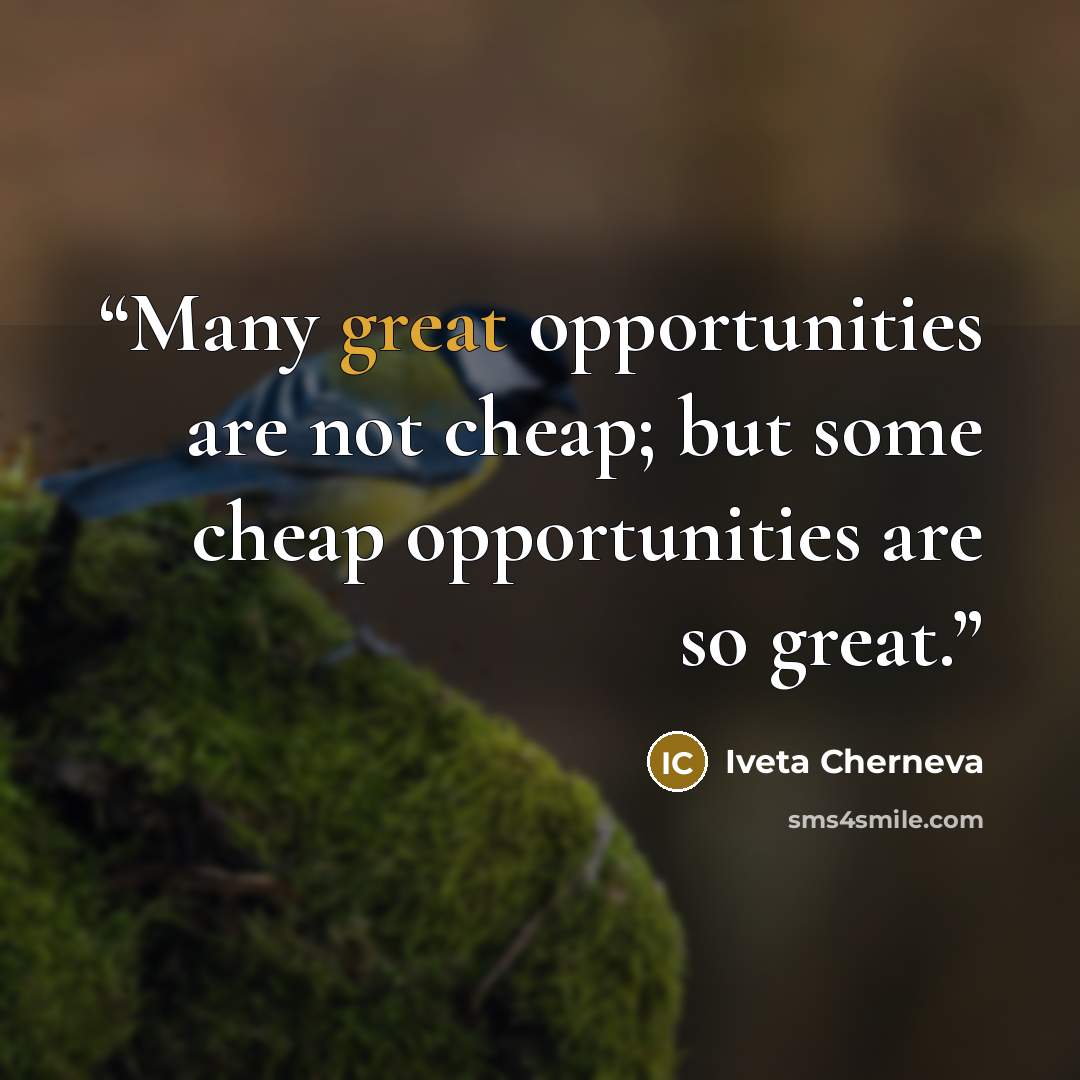 “Many great opportunities are not cheap; but some cheap opportunities are so great.” quote by Iveta Cherneva