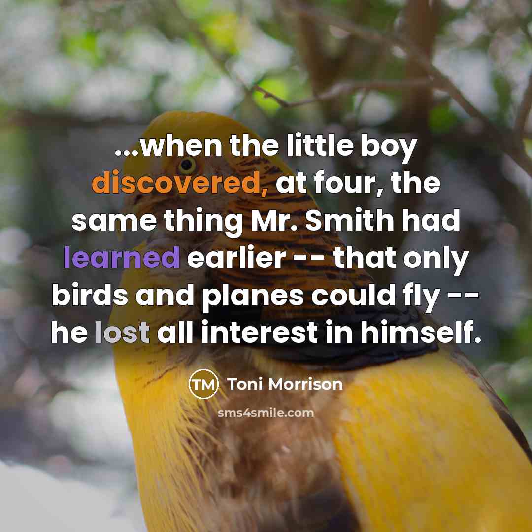 “...when the little boy discovered, at four, the same thing Mr. Smith had learned earlier -- that only birds and planes could fly -- he lost all interest in himself.” quote by Toni Morrison