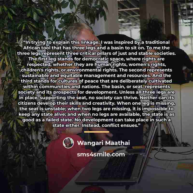 “In trying to explain this linkage, I was inspired by a traditional African tool that has three legs and a basin to sit on. To me the three legs represent three critical pillars of just and stable societies. The first leg stands for democratic space, where rights are respected, whether they are…” quote by Wangari Maathai