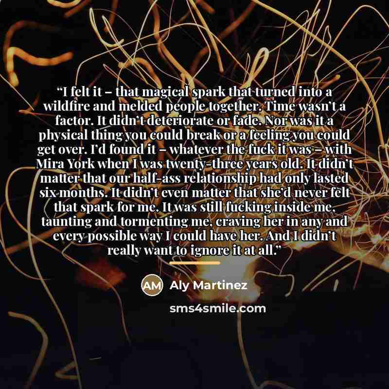 “I felt it – that magical spark that turned into a wildfire and melded people together. Time wasn’t a factor. It didn’t deteriorate or fade. Nor was it a physical thing you could break or a feeling you could get over. I’d found it – whatever the fuck it was – with Mira York when I was twenty-three…” quote by Aly Martinez