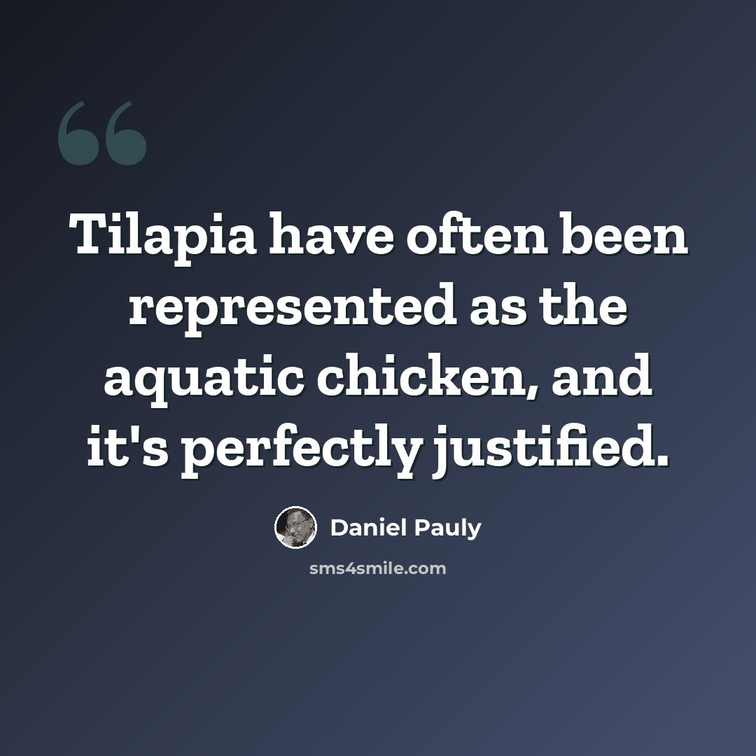 “Tilapia have often been represented as the aquatic chicken, and it's perfectly justified.” quote by Daniel Pauly
