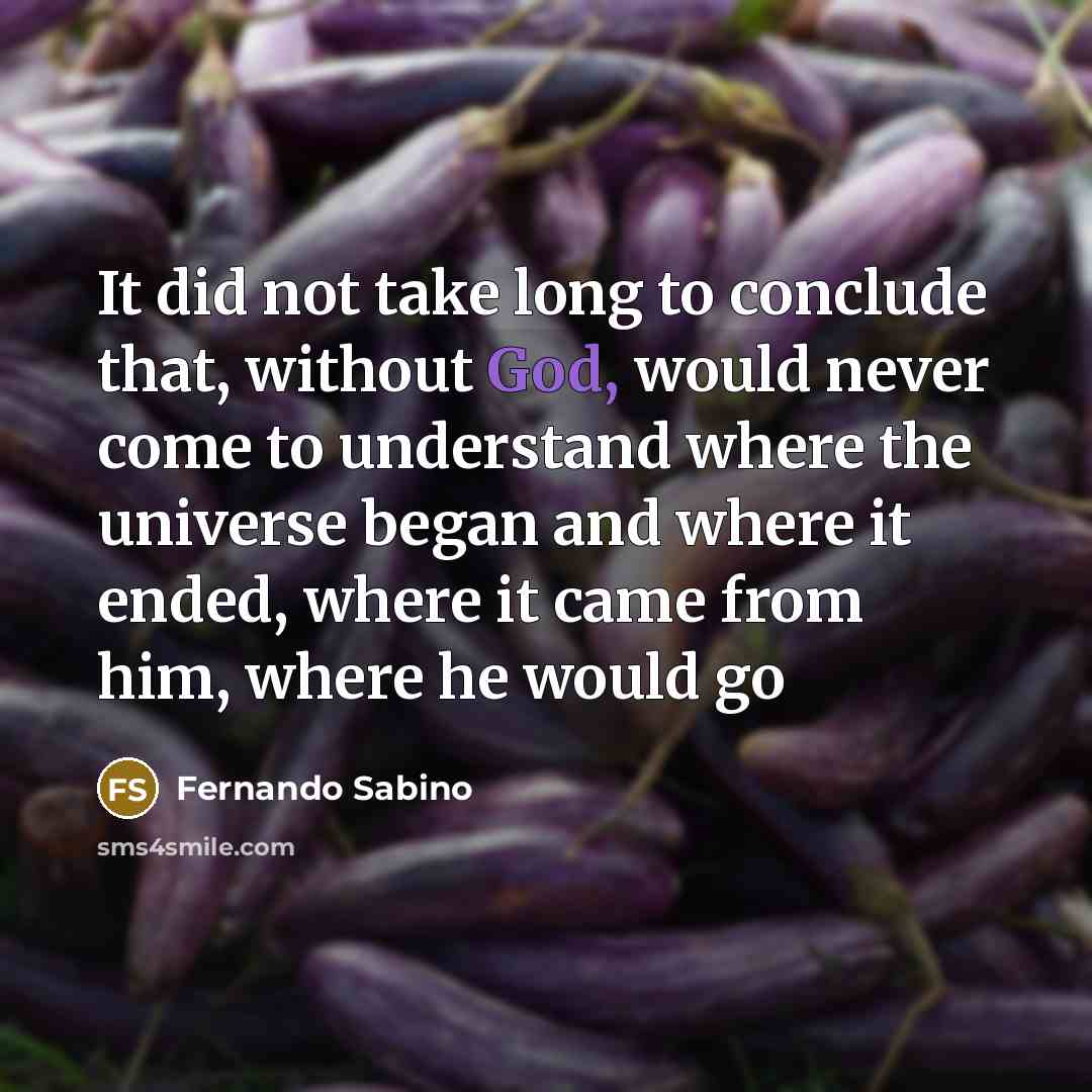 “It did not take long to conclude that, without God, would never come to understand where the universe began and where it ended, where it came from him, where he would go” quote by Fernando Sabino