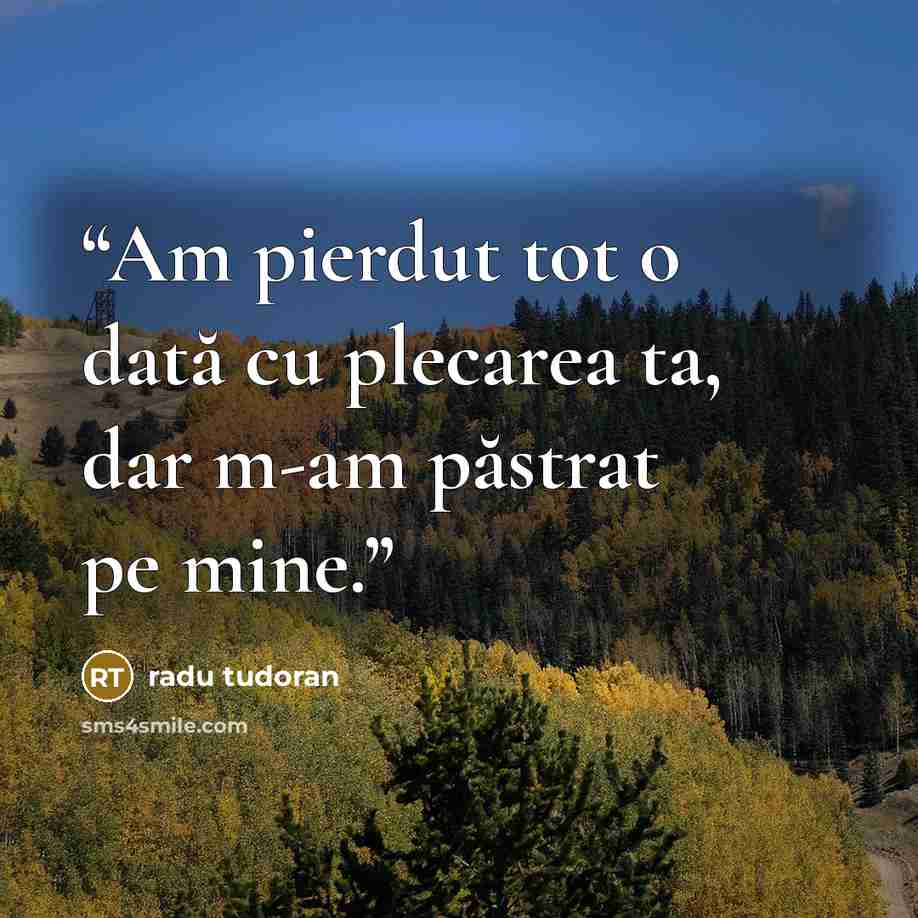“Am pierdut tot o dată cu plecarea ta, dar m-am păstrat pe mine.” quote by Radu Tudoran