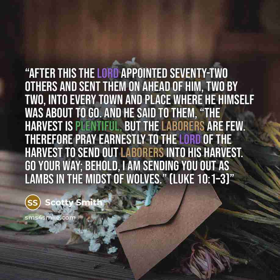 “After this the Lord appointed seventy-two others and sent them on ahead of him, two by two, into every town and place where he himself was about to go. And he said to them, “The harvest is plentiful, but the laborers are few. Therefore pray earnestly to the Lord of the harvest to send out laborers…” quote by Scotty Smith