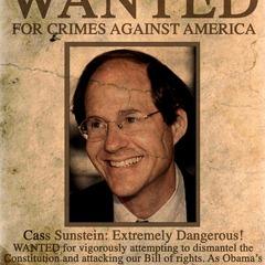 Portrait of Cass Sunstein