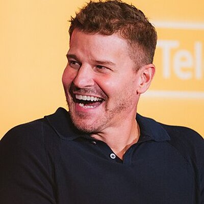 Portrait of David Boreanaz