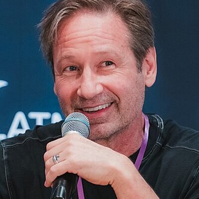 Portrait of David Duchovny