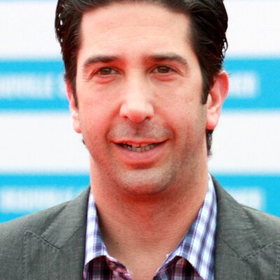 Portrait of David Schwimmer