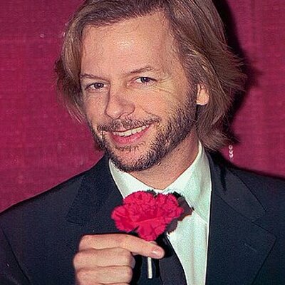 Portrait of David Spade