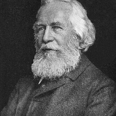 Portrait of Ernst Haeckel