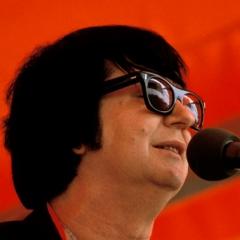 Portrait of Roy Orbison