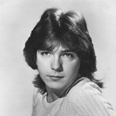 Portrait of David Cassidy