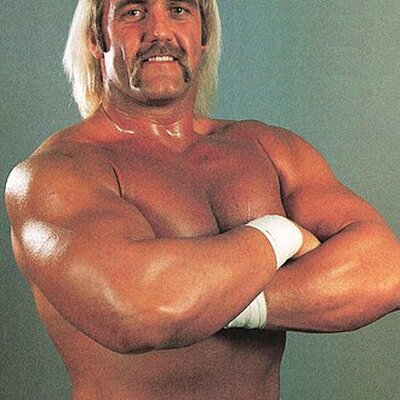 Portrait of Hulk Hogan