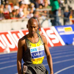 Portrait of Bernard Lagat