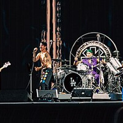 Portrait of Red Hot Chili Peppers