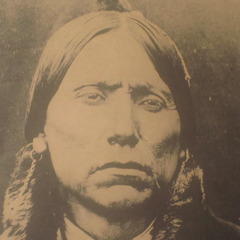 Portrait of Peter Farrelly