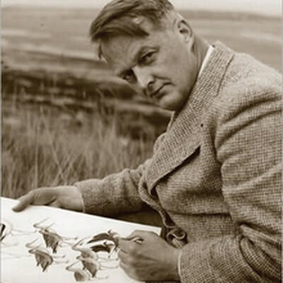 Portrait of Roger Tory Peterson