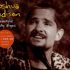 Portrait of Joshua Kadison