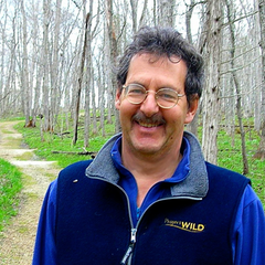 Portrait of David Sobel
