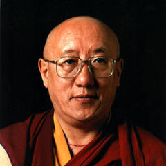 Portrait of Bokar Rinpoche
