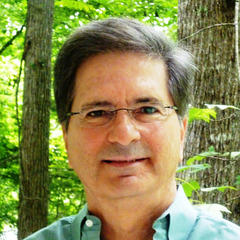 Portrait of Gustavo Perez Firmat