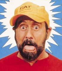 Portrait of Ray Stevens