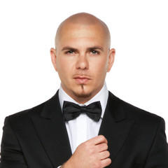 Portrait of Pitbull